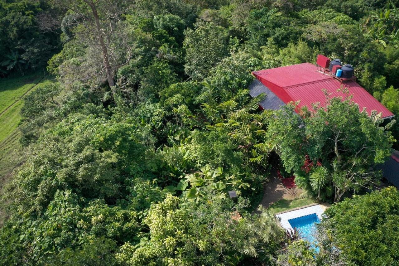 La Boruca Bed & Breakfast San Isidro  Екстериор снимка