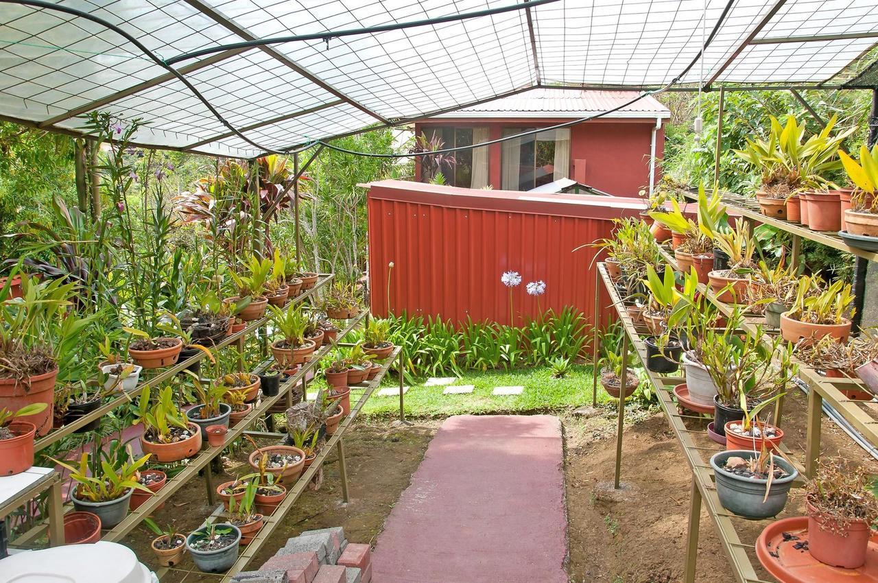 La Boruca Bed & Breakfast San Isidro  Екстериор снимка